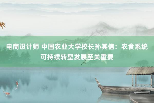 电商设计师 中国农业大学校长孙其信：农食系统可持续转型发展至关重要