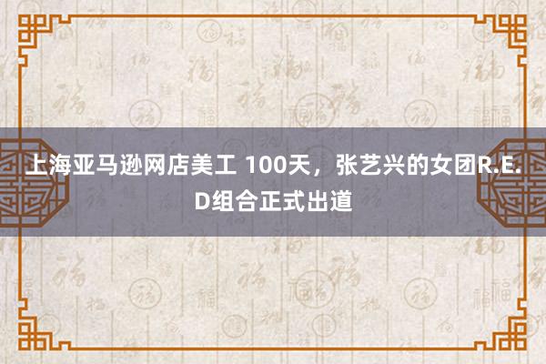 上海亚马逊网店美工 100天，张艺兴的女团R.E.D组合正式出道